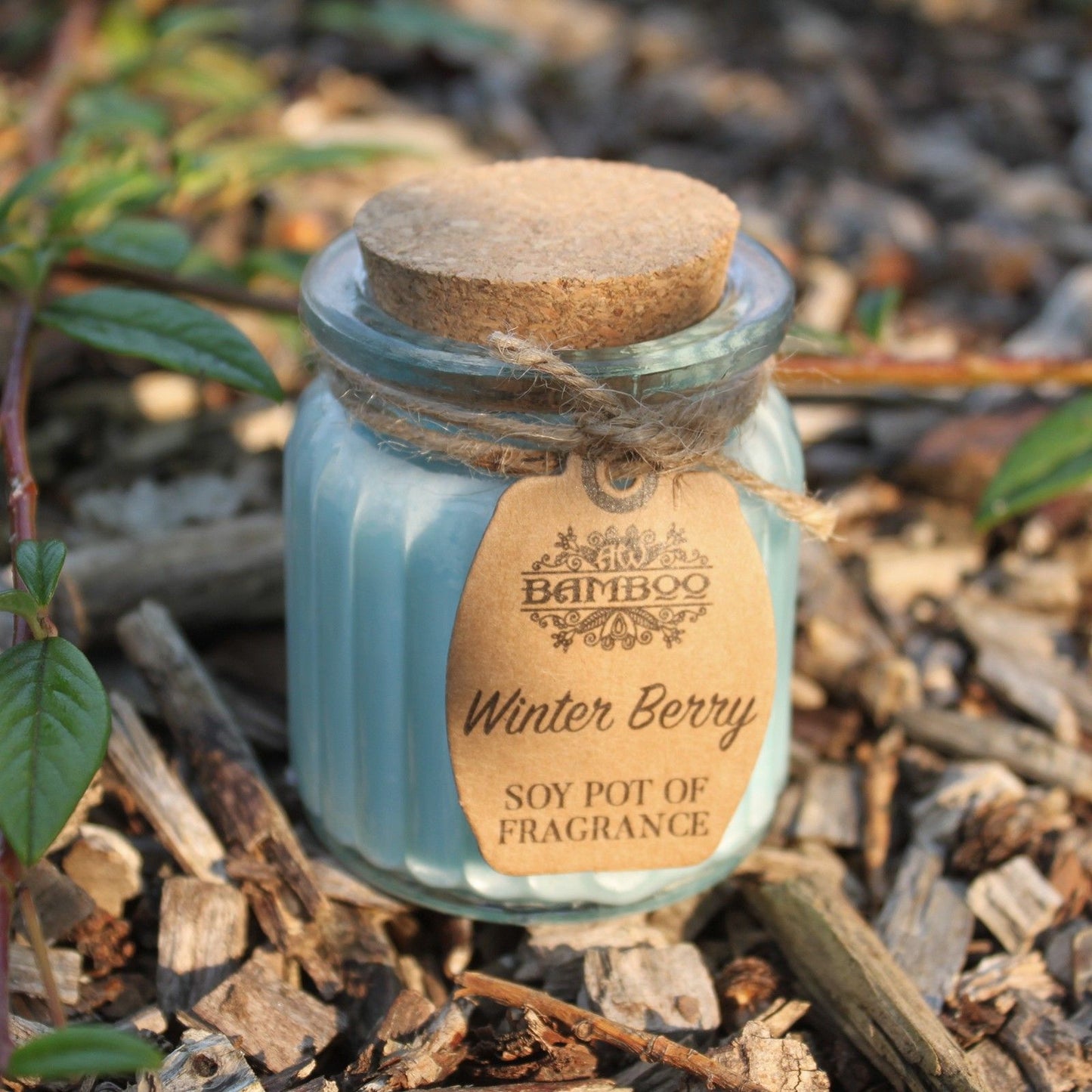 Soy Pot of Fragrance Candles