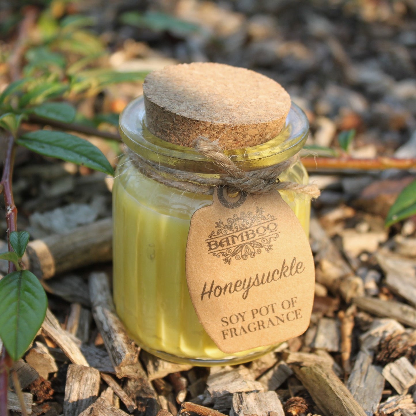 Soy Pot of Fragrance Candles